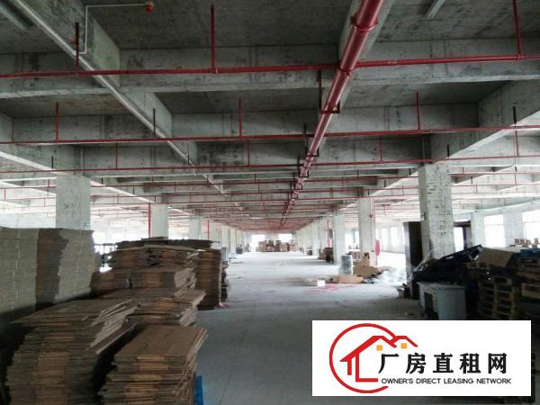 
		潼侨工业园公司自建独院标准厂房5400平对外招租
	