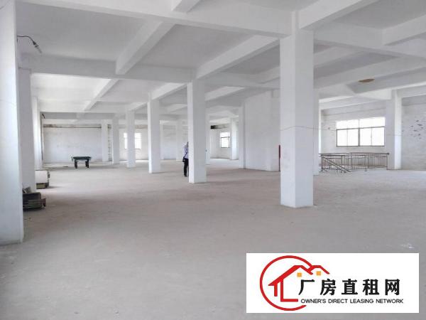 
		仲恺潼桥独院1500平方标准厂房出租
	