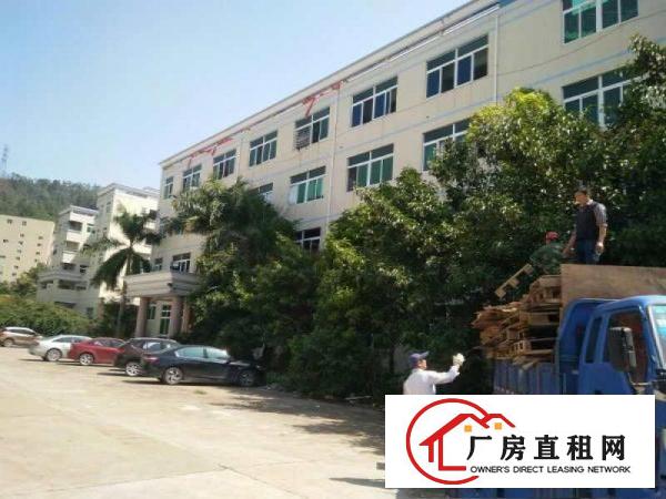
		潼桥全新独院12000平标准厂房出租可做家私
	