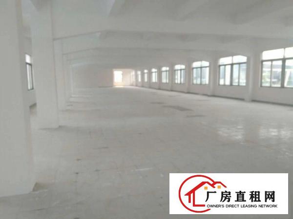 
		经典3100平独院厂房带装修对外招租
	