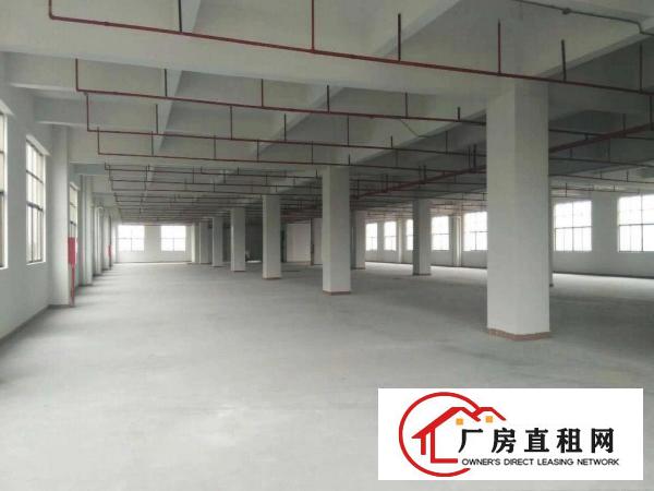 
		原房东新建无公摊九层单层800平厂房对外招租
	