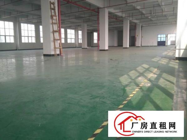 
		长安乌沙新出楼上楼装修870平厂房火爆招租
	