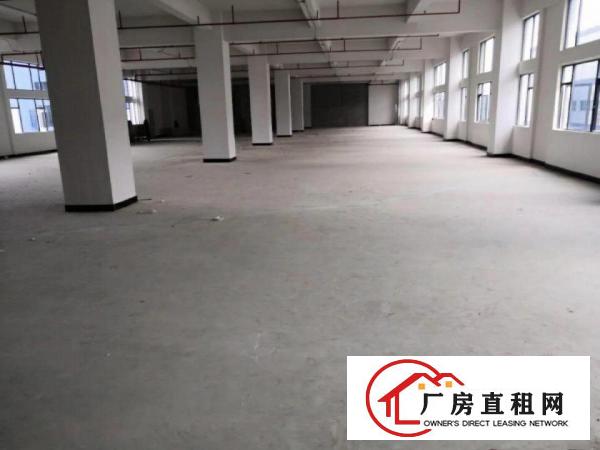 
		沙头新出大小面积厂房火爆招租！120平起分
	