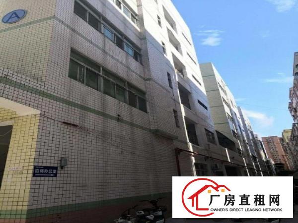 
		沙头新出大小面积厂房火爆招租！120平起分
	