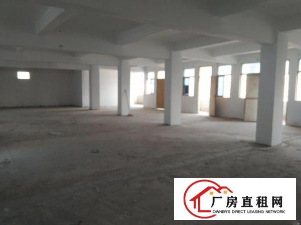
		沙头新出大小面积厂房火爆招租！120平起分
	
