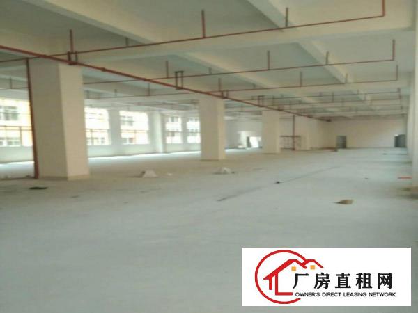 
		长安乌沙靠深圳新出九层重工业厂房单层1380平米
	