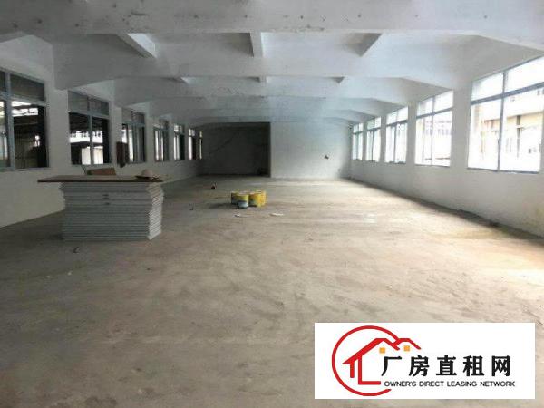 
		厦岗新出独栋2500平带办公室新厂房招租水电齐全
	