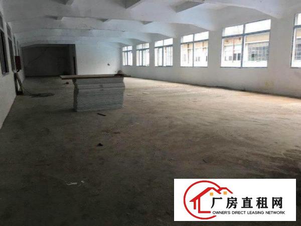 
		厦岗新出独栋2500平带办公室新厂房招租水电齐全
	