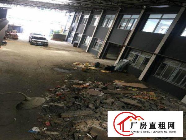 
		厦岗新出独栋2500平带办公室新厂房招租水电齐全
	