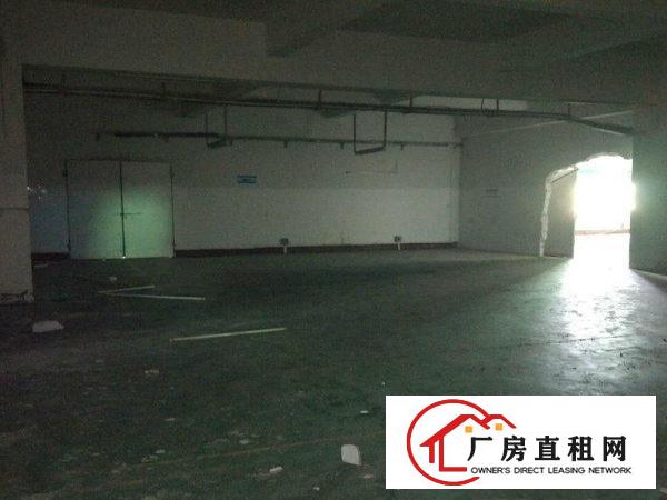 
		沙头楼上1800平厂房招租可办公有货梯交通方便
	