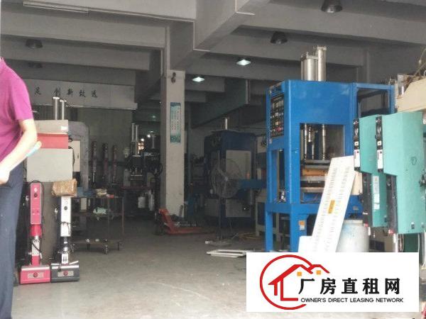 
		358省道旁一楼1200平厂房招租交通便利可进大车
	