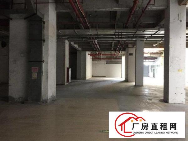 
		建安路一楼2000平水电齐全带办公厂房招租行业不限
	