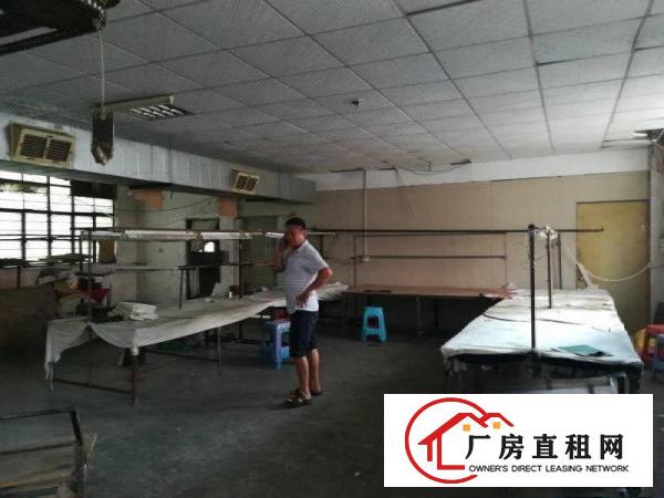 
		新民460 330平厂房招租行业不限交通便利
	