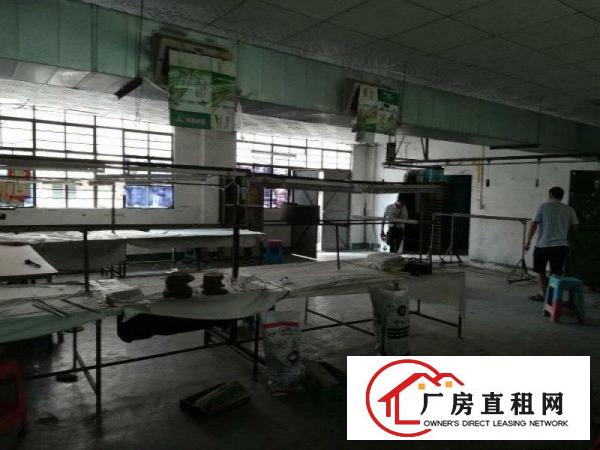 
		新民460 330平厂房招租行业不限交通便利
	
