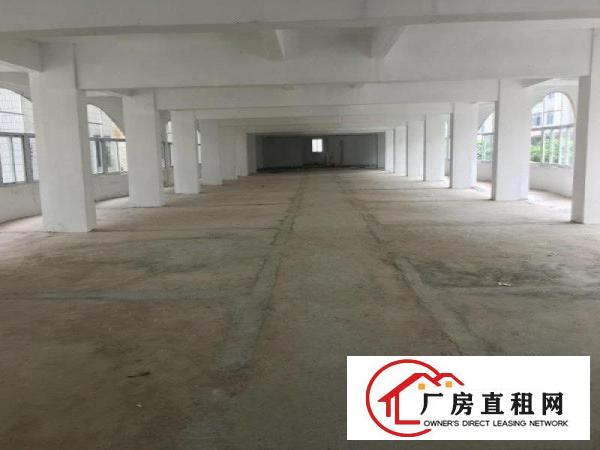 
		新安楼上1200平厂房招租交通便利可进大车行业不限
	