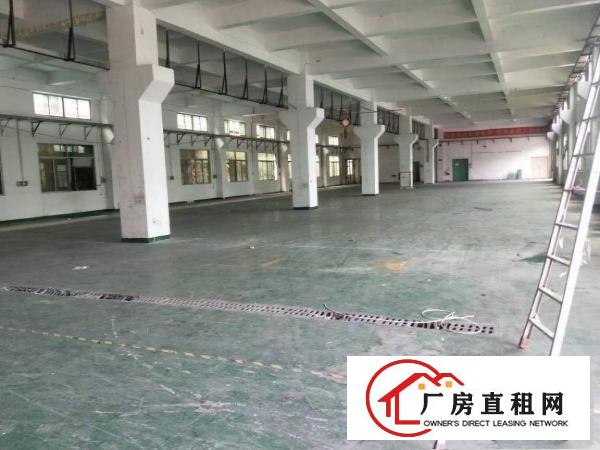 
		厦边一楼900平，带牛角，有地坪漆，6.5米高
	