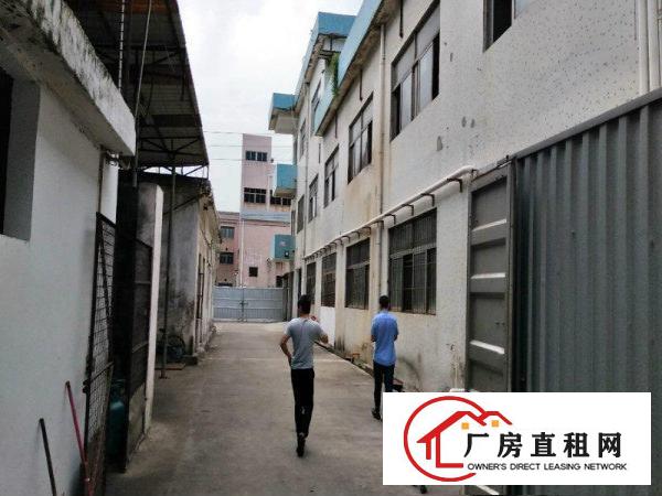 
		涌头二楼1200平厂房招租交通便利停车方便
	