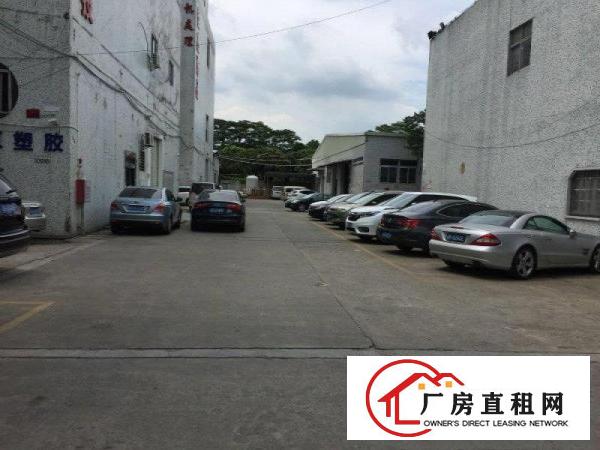 
		新安一楼1100平带装修水电齐全层高7米厂房招租
	