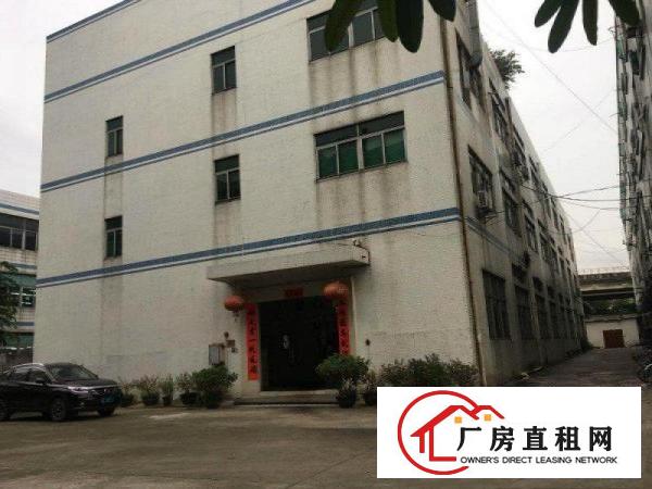 
		厦边独门独院6040平带办公室绿色地坪漆厂房招租
	