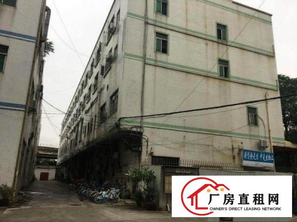 
		厦边独门独院6040平带办公室绿色地坪漆厂房招租
	