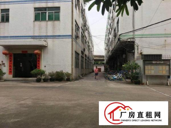 
		厦边独门独院6040平带办公室绿色地坪漆厂房招租
	
