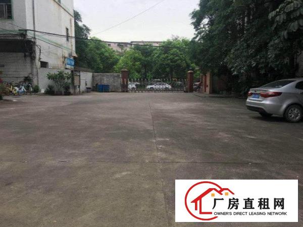 
		厦边独门独院6040平带办公室绿色地坪漆厂房招租
	