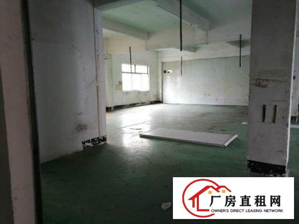 
		沙头独栋多层厂房招租单层1280平水电齐全行业不限
	