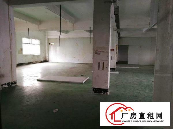 
		沙头独栋多层厂房招租单层1280平水电齐全行业不限
	