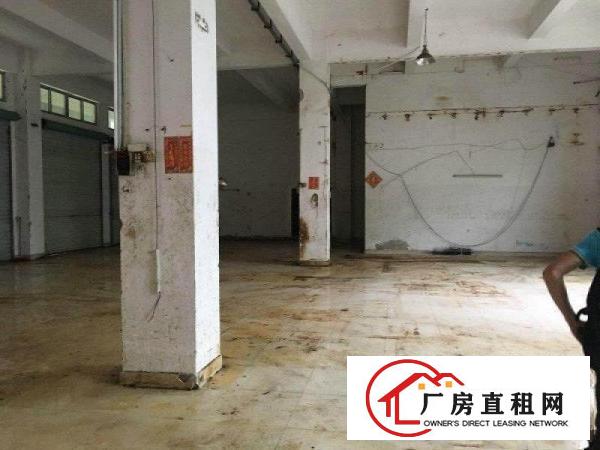 
		厦岗新出一楼750平精装修水电齐全带办公室厂房招租
	
