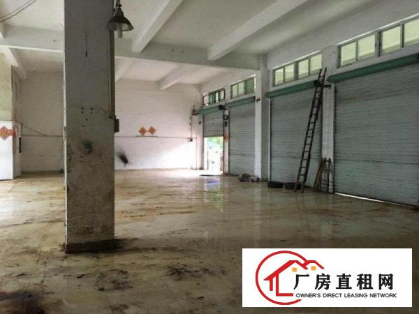 
		厦岗新出一楼750平精装修水电齐全带办公室厂房招租
	