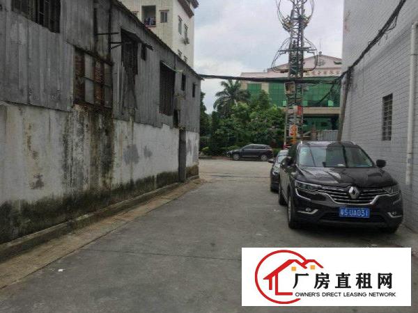 
		厦边1500平带装修仓库招租行业不限交通方便
	