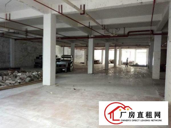 
		锦厦临街900平厂房招租交通便利可进大车行业不限
	