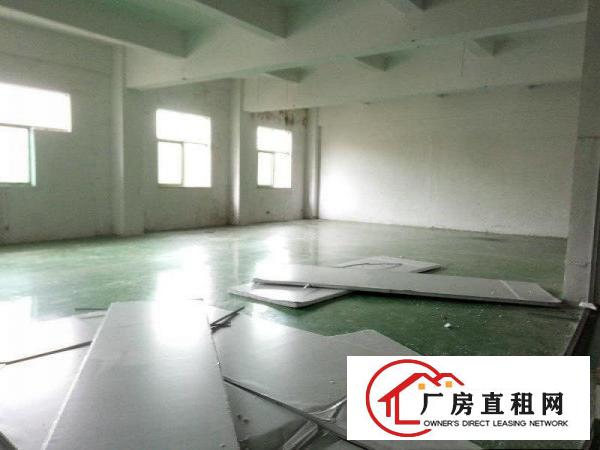 
		沙头1400平厂房招租豪华现成办公室，水电齐全
	