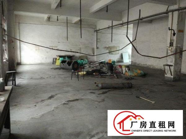 
		厦岗二楼600平厂房招租可办公交通便利行业不限
	