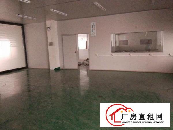 
		厦岗精装修2700平厂房招租可办公交通便利行业不限
	