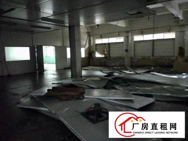 
		厦岗精装修2700平厂房招租可办公交通便利行业不限
	