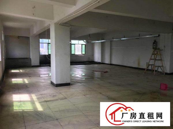 
		霄边五楼800平精装修带地砖可分租水电齐全厂房招租
	