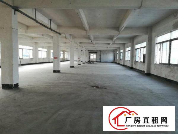 
		厦边楼上1880平带货梯厂房招租消防完善交通便利
	