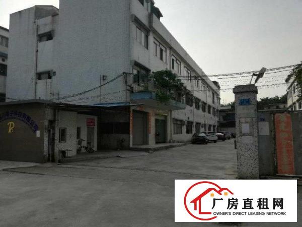
		厦边楼上1880平带货梯厂房招租消防完善交通便利
	