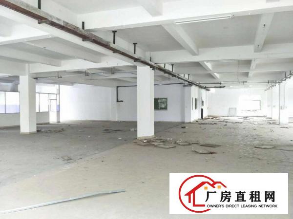 
		虎门南栅新出一独门独院三层厂房8000平
	