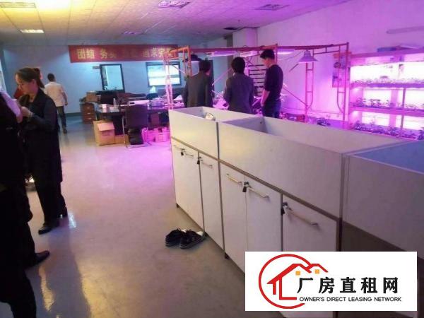 
		精装修，虎门南栅新出楼上厂房1800平
	