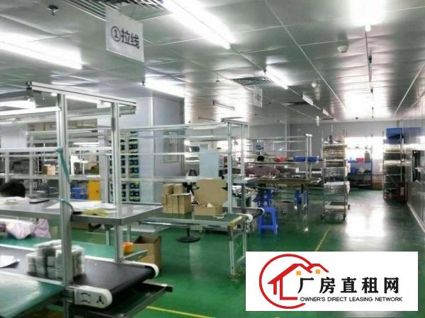 
		虎门南栅楼上带装修厂房2500平无转让费
	