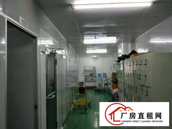 
		虎门南栅楼上带装修厂房2500平无转让费
	