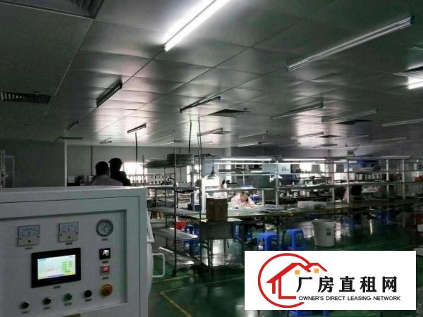 
		虎门南栅楼上带装修厂房2500平无转让费
	