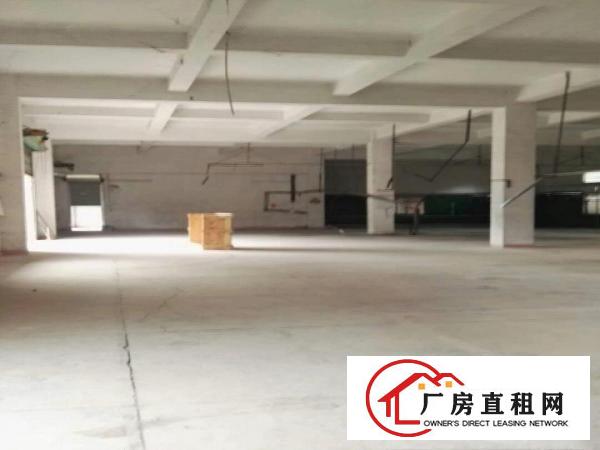 
		虎门新联一楼新出六米高厂房2500平，可分租
	