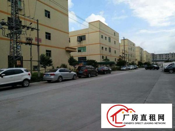 
		虎门雅瑶楼上新出带装修厂房2000平
	