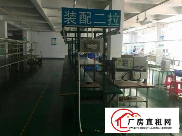 
		虎门雅瑶楼上新出带装修厂房2000平
	