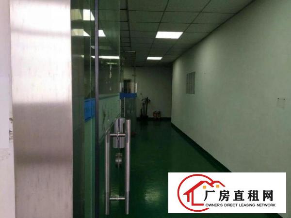 
		虎门雅瑶楼上新出带装修厂房2000平
	