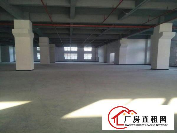 
		沙角工业区全新重工业厂房招租
	