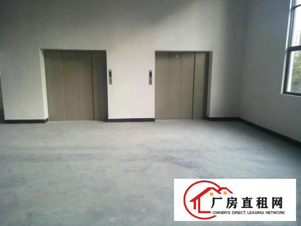 
		沙角工业区全新重工业厂房招租
	